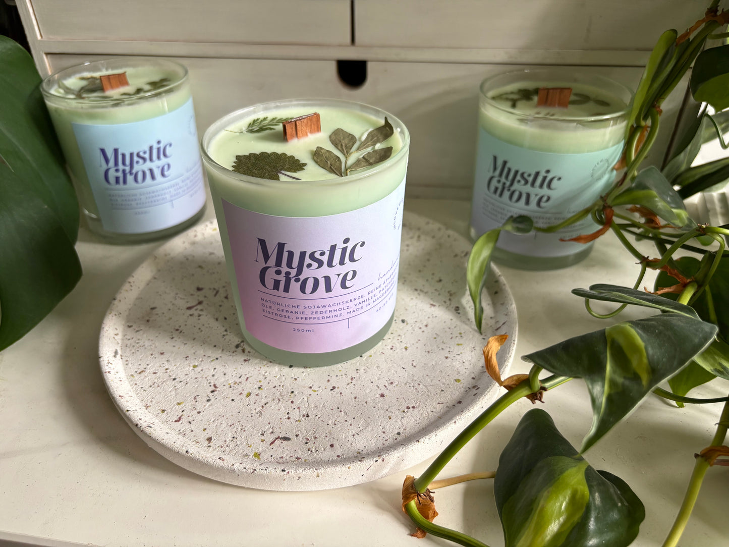 Sojawachskerze 'Mystic Grove'